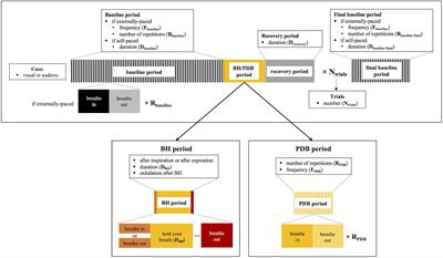 Cerebrovascular Reactivity Mapping Without Gas Challenges: A Methodological Guide
